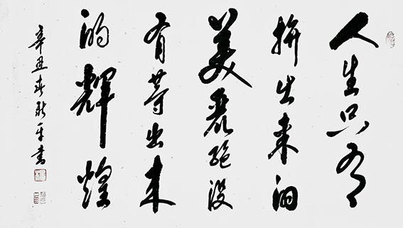 杨新平作品《人生只有拼出来的美丽 没有等出来的辉煌》